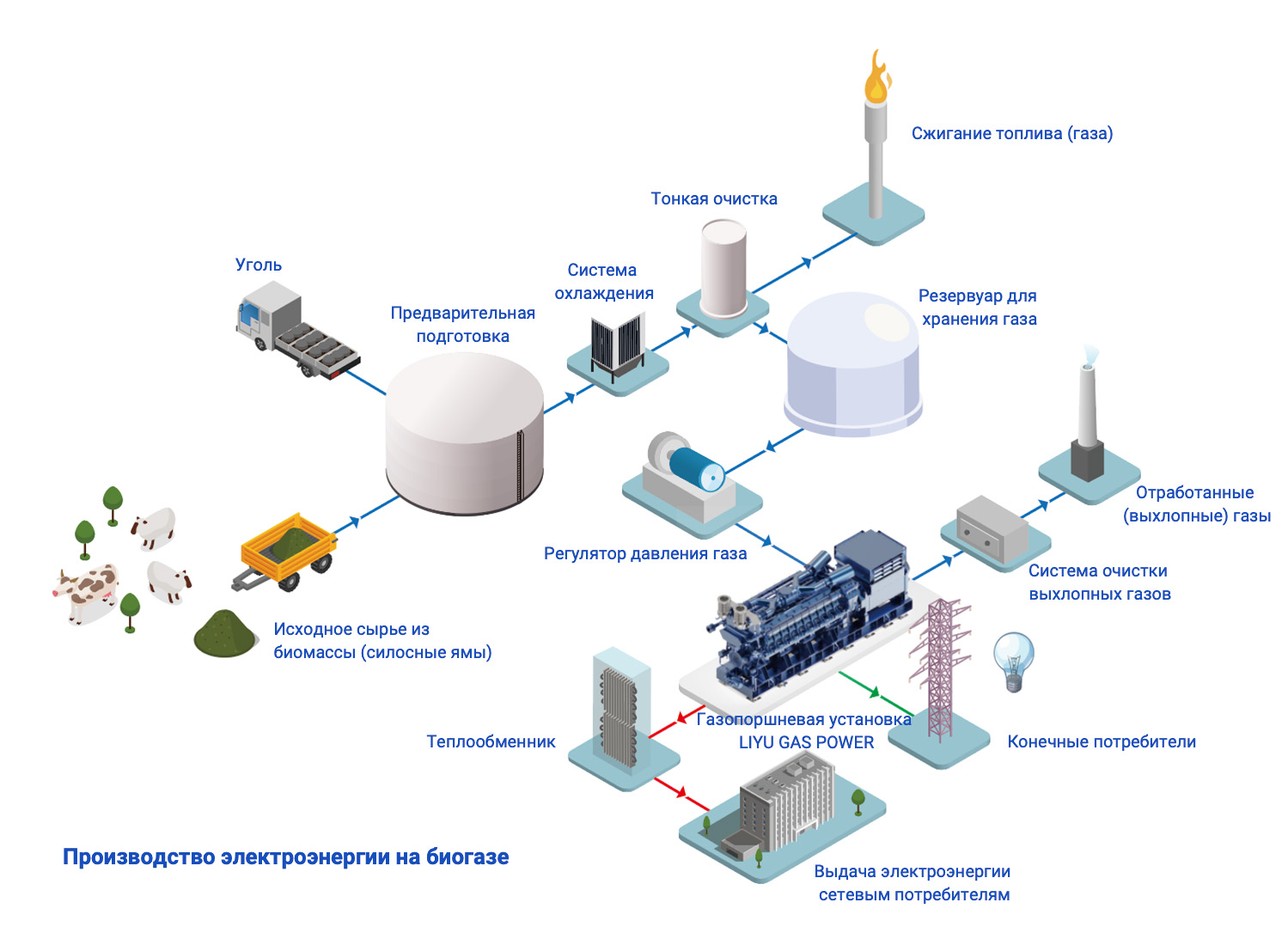 Biomass gas